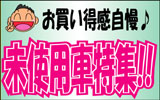 �V�Îԓ��W